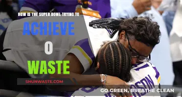 Super Bowl's Green Goal: Strategies for Achieving Zero Waste Events