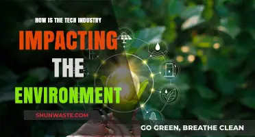 Tech's Environmental Footprint: Innovations, Challenges, and Sustainable Solutions