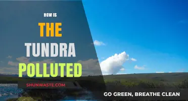 Human Impact: Tundra Pollution Sources