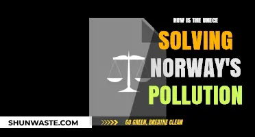 UNECE's Action Plan for Norway's Pollution Problem