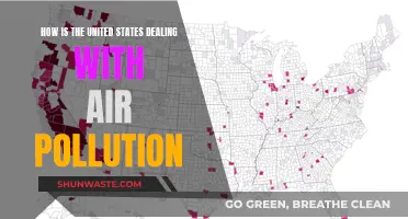 Air Pollution: US Strategies and Solutions