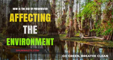 Freshwater Use: Environmental Impacts and Sustainable Solutions Explored