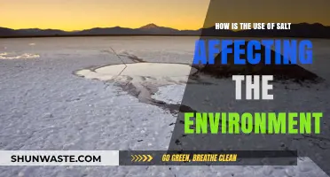 Salt's Environmental Impact: Uncovering the Hidden Costs of Its Use