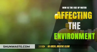 Water's Impact: Environmental Consequences of Our Usage and Conservation Needs