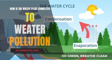 Water Cycle's Role in Weather Pollution: A Complex Relationship