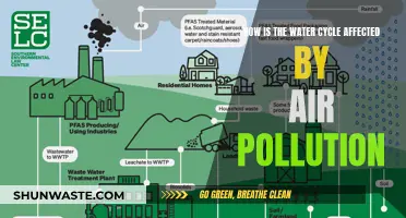 Air Pollution's Impact: Disrupting the Water Cycle
