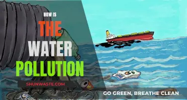 Unveiling the Hidden Dangers: A Deep Dive into Water Pollution