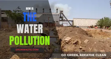 Water Pollution: A Global Crisis and Challenge