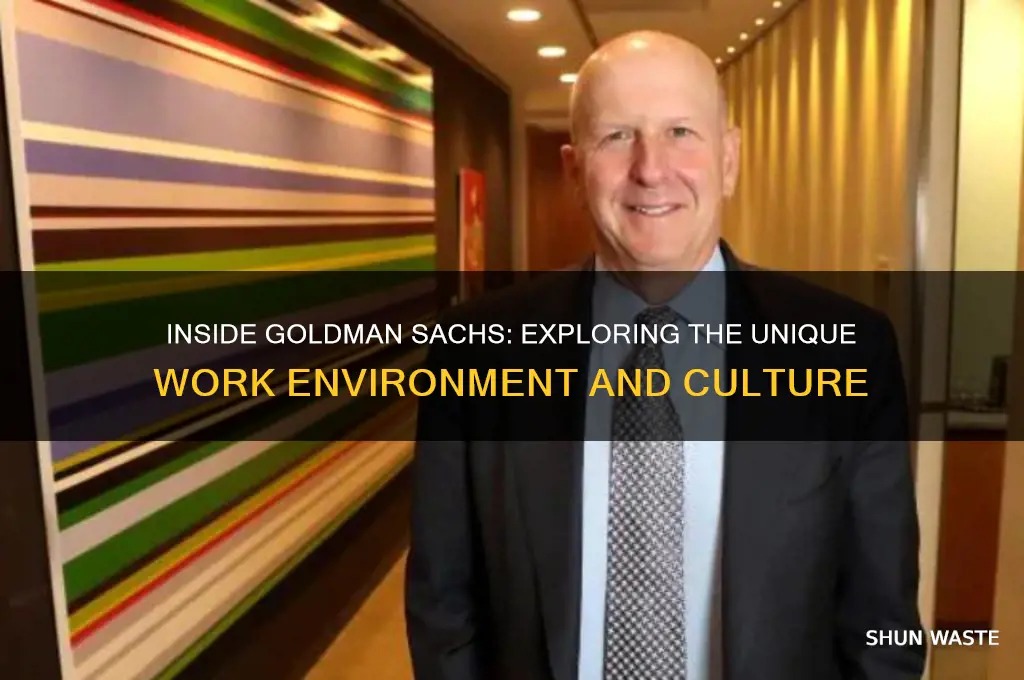 how is the work environment at goldman sa chs