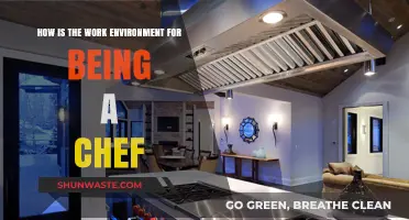 Behind the Kitchen Doors: Exploring the Chef's Work Environment