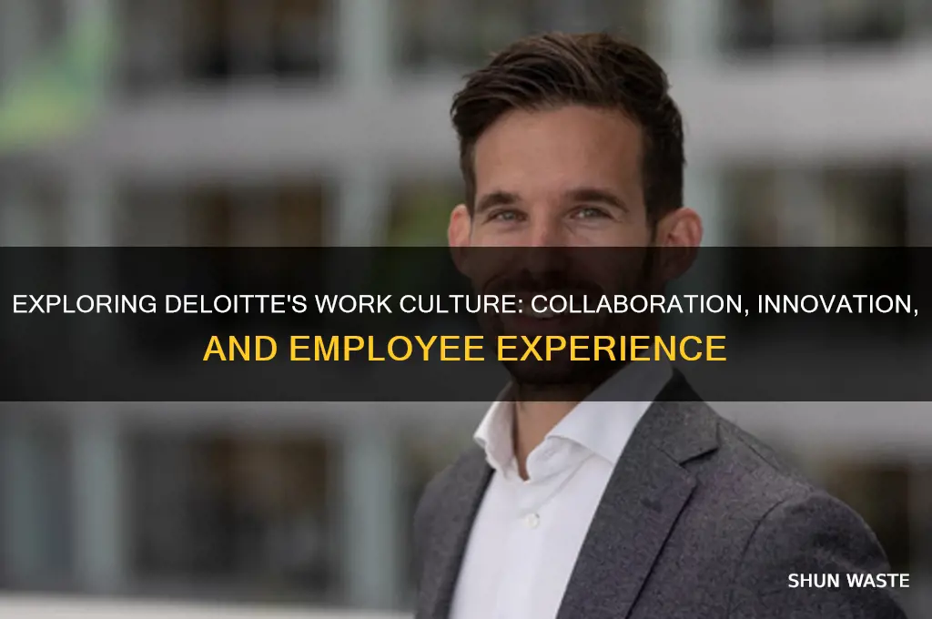 how is the work environment in deloitt