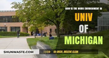 Exploring the Collaborative and Innovative Work Environment at University of Michigan