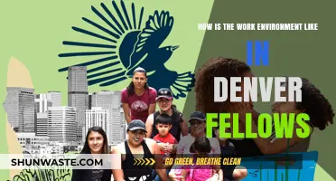 Denver Fellows Work Environment: Culture, Benefits, and Team Dynamics