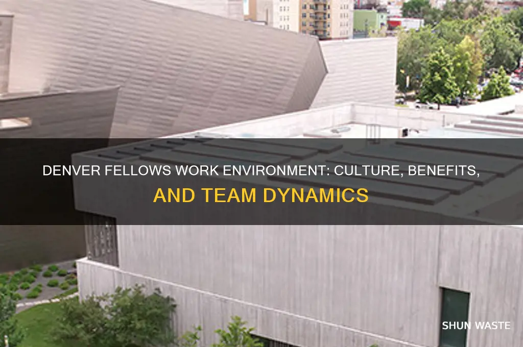 how is the work environment like in denver fellows