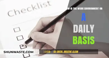Daily Work Life: Insights into the Typical Office Environment