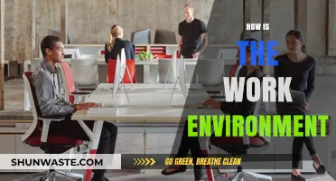Exploring the Dynamics of a Modern Work Environment