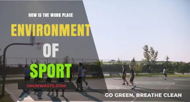 Exploring the Dynamic and Competitive Workplace Environment in Sports