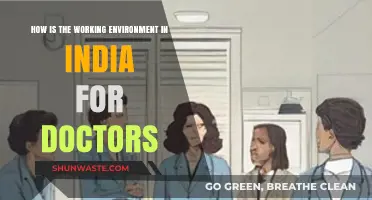 Exploring India's Medical Workplace: Challenges, Rewards, and Doctor Experiences