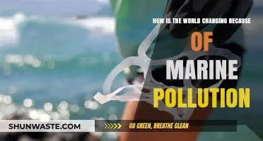 Marine Pollution: A Global Crisis Transforming Our World