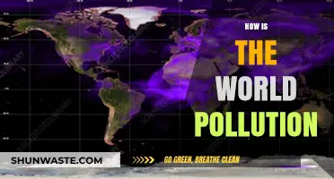 Pollution's Global Impact: A Worrying Reality Check