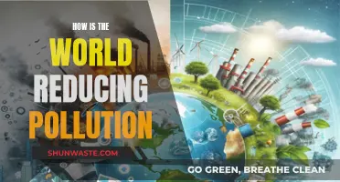 Global Efforts to Reduce Pollution: Strategies and Initiatives