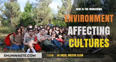 Environmental Decline: How Cultures Are Transforming Amidst Ecological Crisis