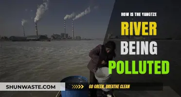 Yangtze River Pollution: A Crisis Unveiled