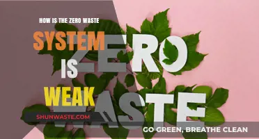 Zero Waste Weaknesses: Uncovering Flaws in the Sustainable System