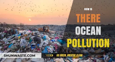 The Ocean's Plight: Human Impact on Marine Life