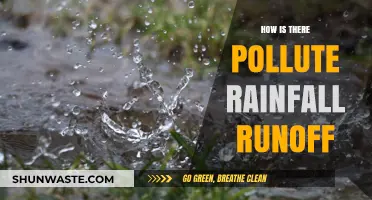 The Polluted Rain: Runoff's Impact