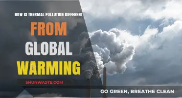 Thermal Pollution vs. Global Warming: What's the Difference?