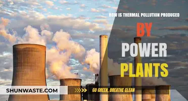 Thermal Pollution: Power Plants' Impact on Waterways