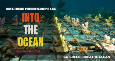 Ocean Thermal Pollution: Reclaiming and Restoring Marine Ecosystems