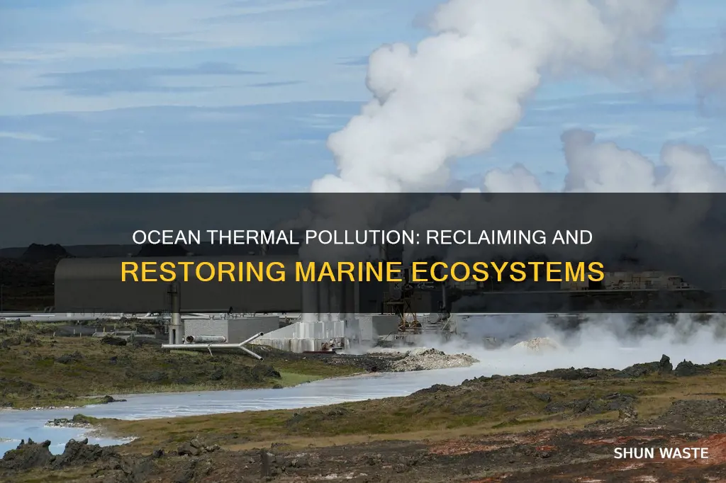 how is thermal pollution water put back into the ocean