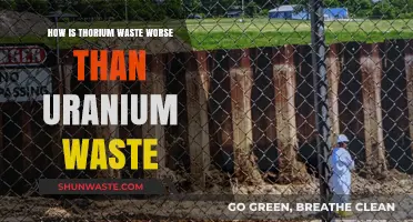 Thorium's Dark Secret: Why Its Waste Poses Greater Risks Than Uranium
