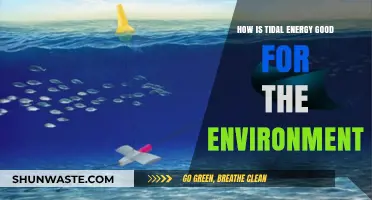 Harnessing Tides: Tidal Energy's Eco-Friendly Benefits for a Greener Future
