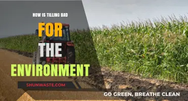 Tilling's Environmental Impact: Soil Degradation, Carbon Loss, and Ecosystem Disruption