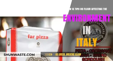 Tipo 00 Flour's Environmental Impact on Italy's Ecosystems and Agriculture