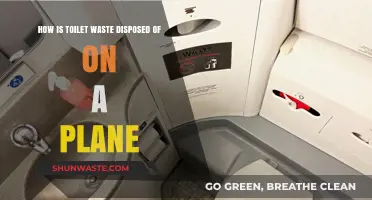 How Airlines Dispose of Toilet Waste Mid-Flight: The Process Explained