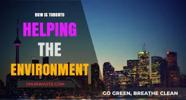 Toronto's Green Initiatives: How the City is Leading Environmental Change