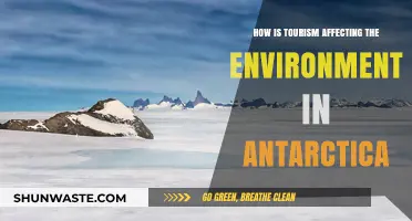 Tourism's Impact: Antarctica's Fragile Environment Under Pressure