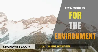 The Dark Side of Travel: Tourism's Environmental Impact Explained