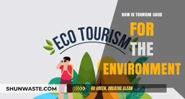 Sustainable Tourism: How Travel Can Positively Impact Our Environment