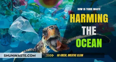 Toxic Waste's Deadly Impact: How Oceans Are Suffocating Under Pollution