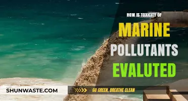 Marine Pollutants: Assessing Toxicity and Impact