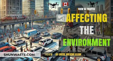 Traffic's Environmental Impact: Pollution, Climate Change, and Ecosystem Disruption Explained