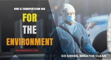 Transportation's Environmental Impact: Pollution, Emissions, and Sustainable Alternatives