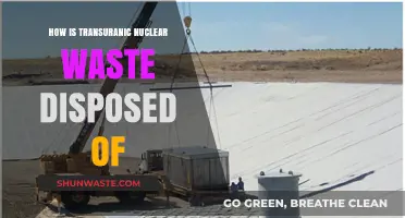 Safe Disposal of Transuranic Nuclear Waste: Methods and Challenges