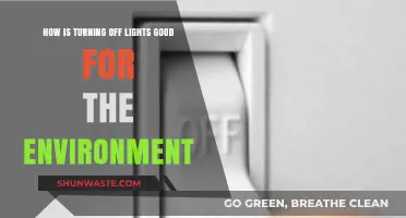 Turning Off Lights: Simple Eco-Friendly Habit with Big Environmental Impact