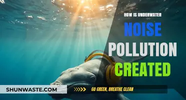 Underwater Noise: Sources and Impact on Ocean Life